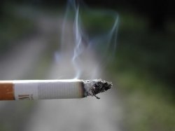 В Нидерландах больше не «украшают» пачки сигарет