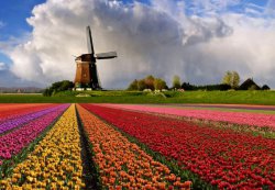5 причин посетить Голландию