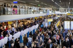 Забастовка парализовала работу аэропорта Амстердама в пиковый период