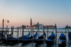 Water taxi and boat tours in Venice at the best price